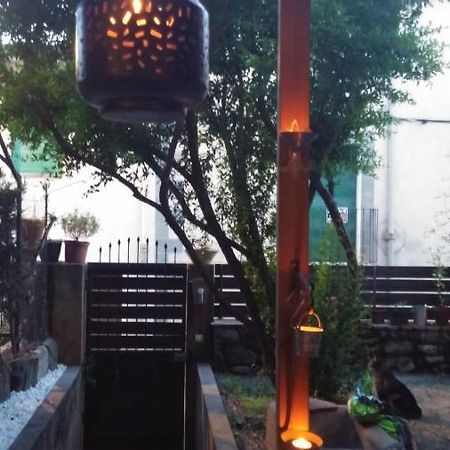 Les Magranes Bed & Breakfast Argelaguer 外观 照片